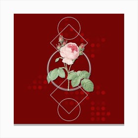 Vintage Pink Cabbage Rose Botanical with Geometric Line Motif and Dot Pattern Canvas Print