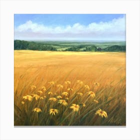 Field Of Sunflowers Canvas Print