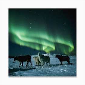 Northern Lights 2 064623 Canvas Print