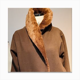 Brown Fur Coat Canvas Print