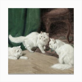 Three White Cats Canvas Print