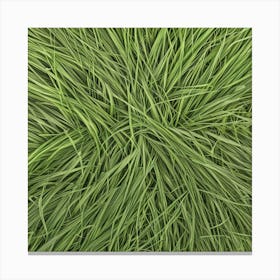 Grass Background 25 Canvas Print