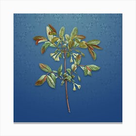 Vintage Honeyberry Flower Botanical on Bahama Blue Pattern n.2489 Canvas Print