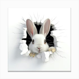 Rabbit Peeking Through A Hole 16 Canvas Print