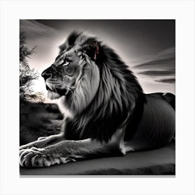 Lionnnn 1 Canvas Print