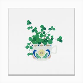 Peperomia Hope Houseplant Coffee Cup Painting Canvas Print