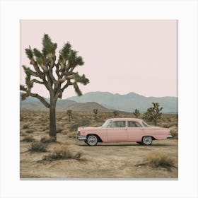 Joshua Tree Canvas Print