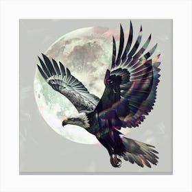 Eagle In Flight 15 Canvas Print