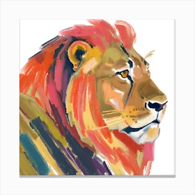 Asiatic Lion 02 Canvas Print