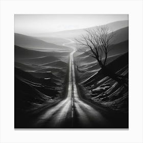 Road To Nowhere Canvas Print