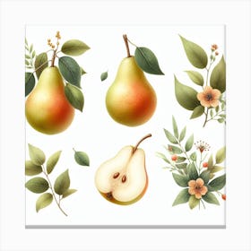 Pear 3 Canvas Print