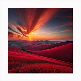 Sunset Over A Red Field 1 Canvas Print