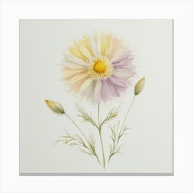 majic flower Canvas Print