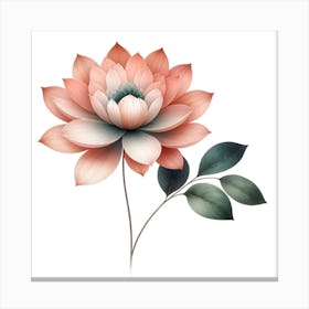 Lotus Flower 11 Canvas Print