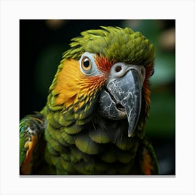 Parrot Canvas Print