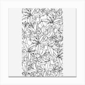 Stargazer Lily Flowers Line Drawing Black and White Canvas Print
