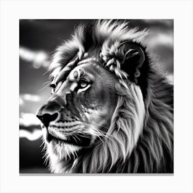 Lion Portrait 3 Canvas Print