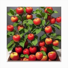 Apple Tree Canvas Print