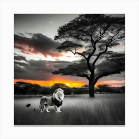 Lion At Sunset 18 Canvas Print