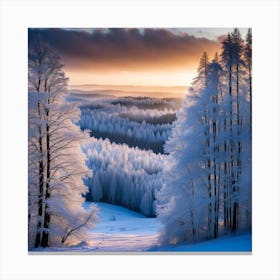 Frost Covered Forest At Dawn 2 Canvas Print