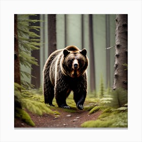 Grizzly Bear In The Forest 5 Canvas Print