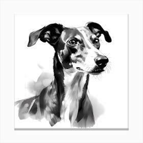 Black and White Greyhound drawing 2 Canvas Print