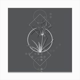 Vintage Streambank Spiderlily Botanical with Line Motif and Dot Pattern in Ghost Gray n.0251 Canvas Print