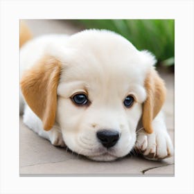 cute dog Canvas Print