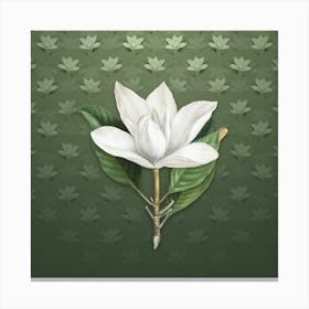 Vintage White Southern Magnolia Botanical on Lunar Green Pattern n.0256 Canvas Print