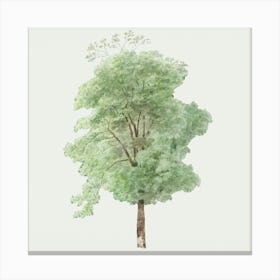 Tree Art 2 Canvas Print