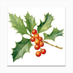 Holly Berries Canvas Print