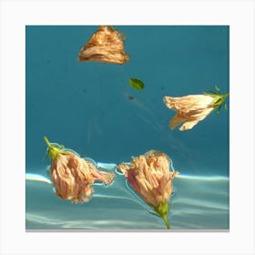 Dead Roses Floating In Water Canvas Print