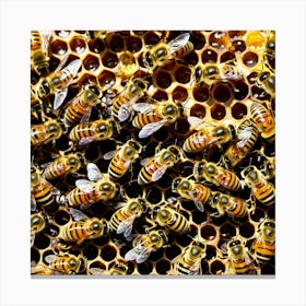 Bees Insects Pollinators Honey Hive Queen Worker Drone Nectar Pollen Colony Honeycomb St (3) Canvas Print