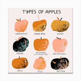 Types Of Apples Square Canvas Print
