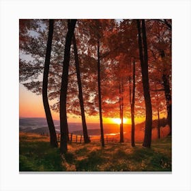 Sunset In The Woods 8 Canvas Print