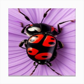 Ladybug 1 Canvas Print