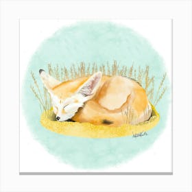 Fox/Fennec Canvas Print