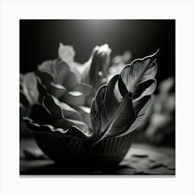 Black And White Photography 2 Canvas Print