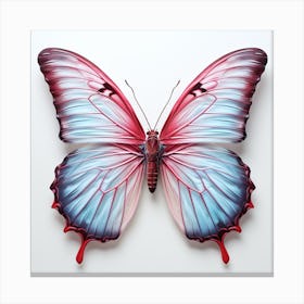 Butterfly Canvas Print