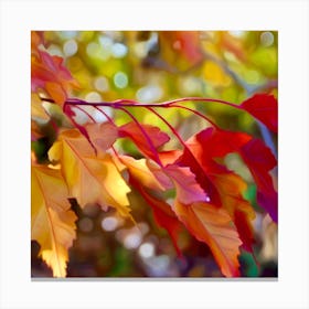 Autumn Leaves 8 Canvas Print