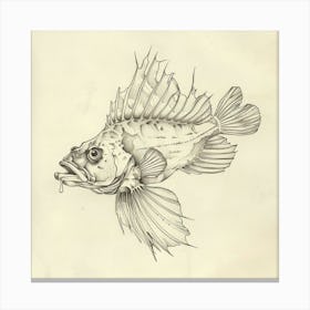 Lionfish Canvas Print