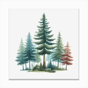 Watercolor Trees In The Forest Canvas Print