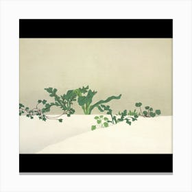 Full Of Green Canvas Print