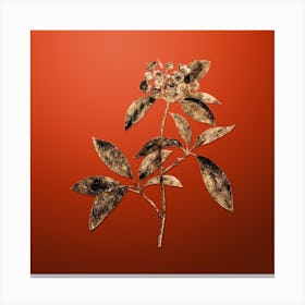 Gold Botanical Mountain Laurel Branch on Tomato Red n.2741 Canvas Print