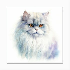 Chinchilla Persian Cat Portrait 3 Canvas Print