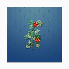 Vintage Morocco Hawthorn Flower Botanical on Bahama Blue Pattern n.0455 Canvas Print