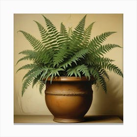 Fern In A Pot 3 Canvas Print