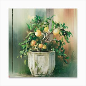 Oranges In A Pot 13 Canvas Print