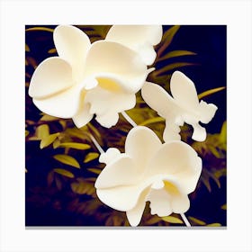 Creamy Sculpted Orchids Canvas Print