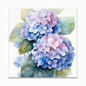  Painting Of Hydrangeas  Canvas Print